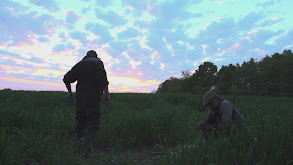 Roebuck Stalking in Poland #2 thumbnail