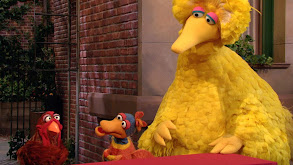 Sesame Street Bird Games thumbnail