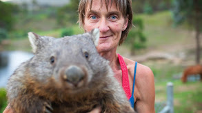 A House Full of Wombats thumbnail