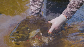 River Fishing for Smallmouth thumbnail