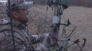 Lee's Bowseason thumbnail