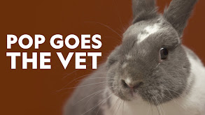 Pop Goes the Vet thumbnail