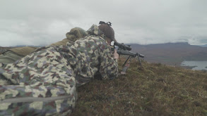 Simon's Scottish Stag thumbnail