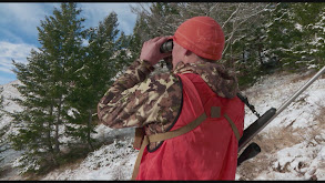 Bitter Cold in the Bitterroot: Southwest Montana Elk thumbnail