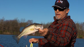 How to Catch Largemouth Bass during PreSpawn on 1oz Spinnerbaits thumbnail