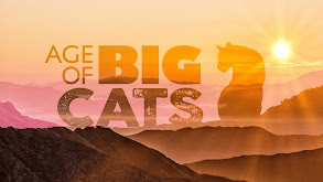 Age of Big Cats thumbnail