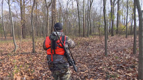 Mississippi River Bucks thumbnail