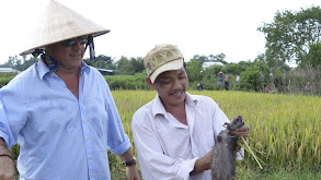 Ho Chi Minh City: Rat Hearts & Porcupine Parts thumbnail