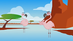 Flamingo thumbnail