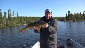 River Walleye thumbnail