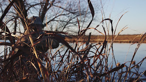 Fowling Companies of the Salt Plains thumbnail