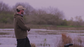 Vast Marshes thumbnail