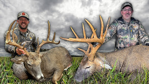 Mark Drury's Magnum 11 Pointer & Wade's Big 10 thumbnail