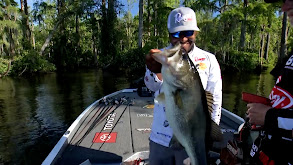 MLF Bass Pro Tour: Stage Five: 2024 Mark Daniels Jr. 3 thumbnail