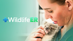 Wildlife ER thumbnail