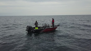 Isle Royale's Siscowet Lake Trout thumbnail