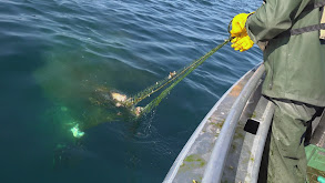 Lost Gill Net and ORV thumbnail