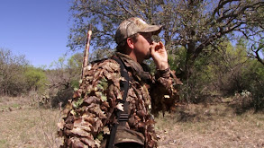 Texas Turkey Hunts thumbnail