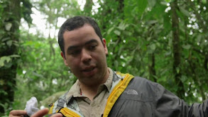 Tortuguero National Park thumbnail