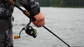 Glide Baits for Rainy Lake Walleye thumbnail