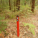 track marker near Pines picnic area (320843)