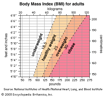 Bmi Definition World Health Organization - Aljism Blog