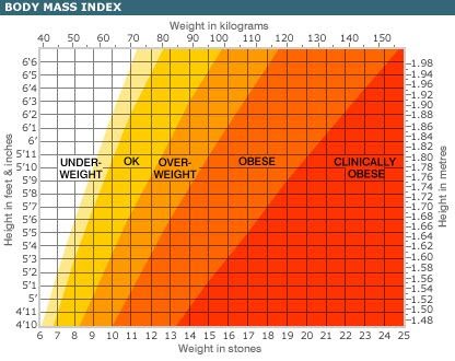 Best Way To Calculate Bmi - Just For Guide