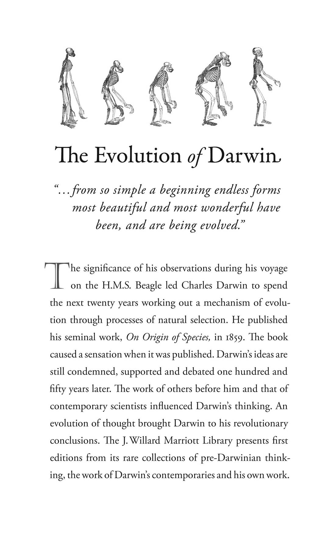 Charles Darwin Theory Of Evolution Of Man