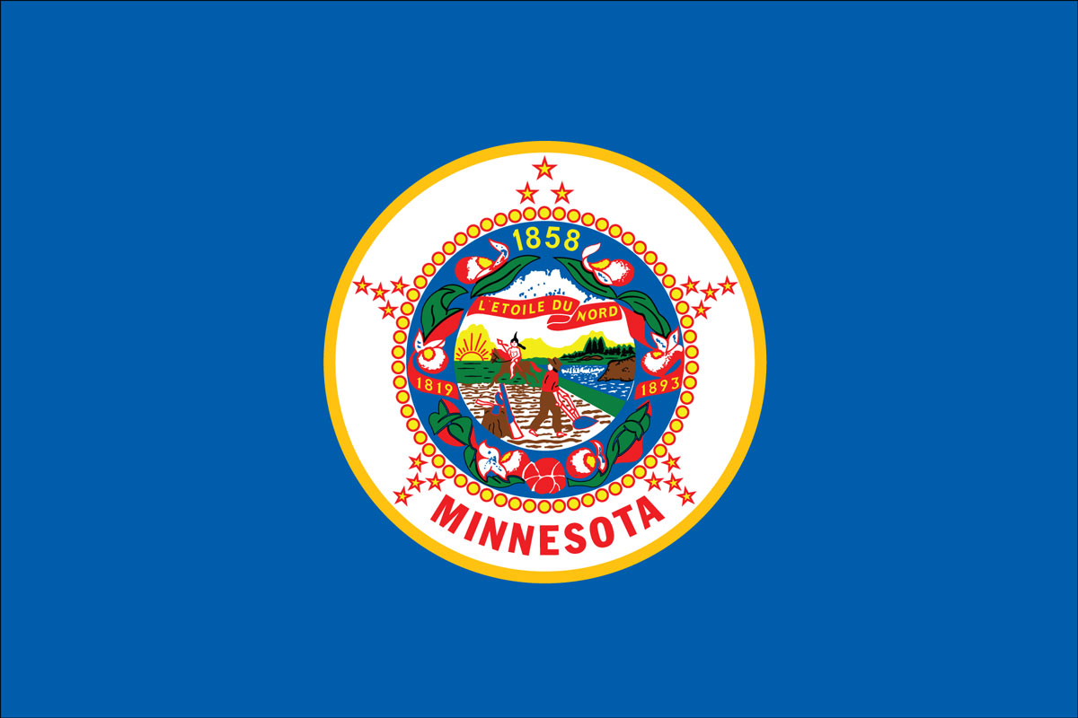 minnesota stae flag, buy online