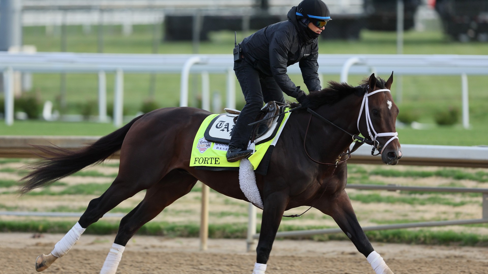 Names Of Horses In The Kentucky Derby 2024 Clary Devinne