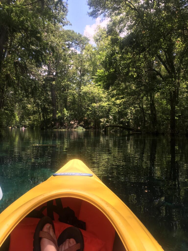 ocala national forest camping