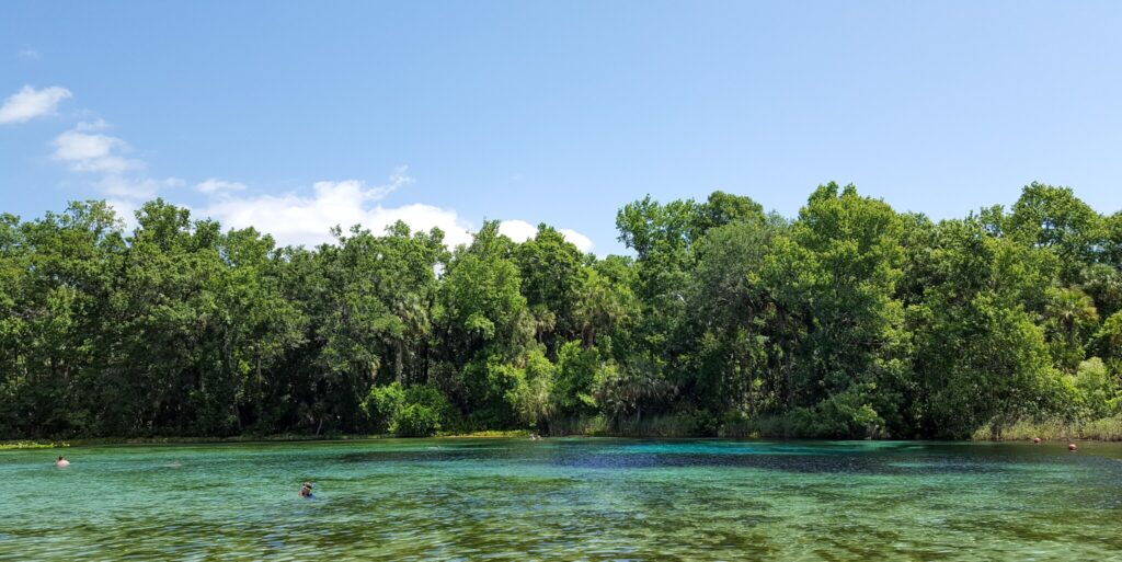 ocala national forest camping