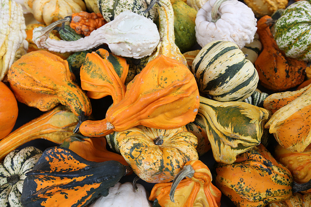 marmellata di zucca