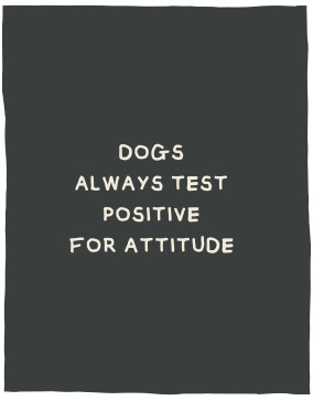 Dogs always test positive for attitude