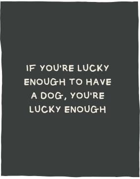 If you're lucky enough to have a dog, you're lucky enough