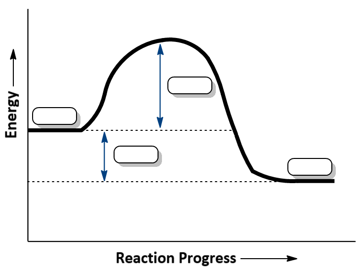 Energy diagram showing reaction progress with labeled reactants and products.