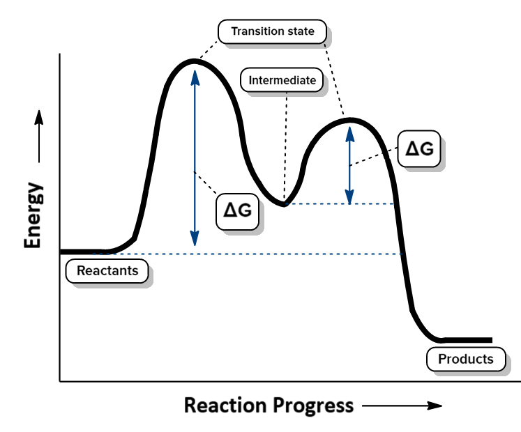 Energy diagram illustrating an exothermic reaction with labeled reactants, products, and transition states.