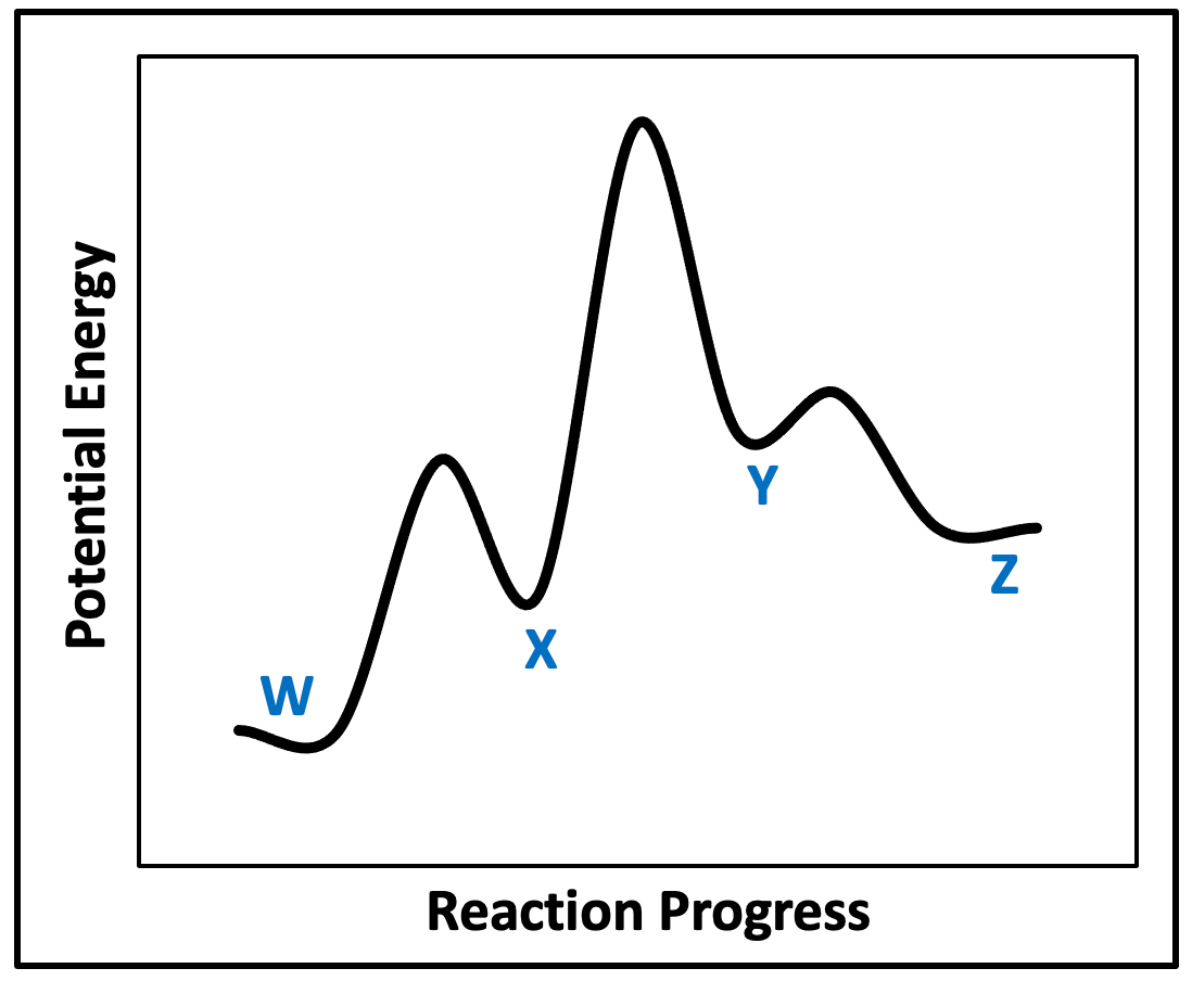 Energy diagram showing reaction W to Z with intermediates X and Y.