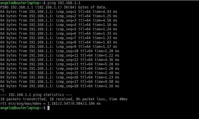 stopping the linux ping command