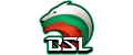 BSLesports