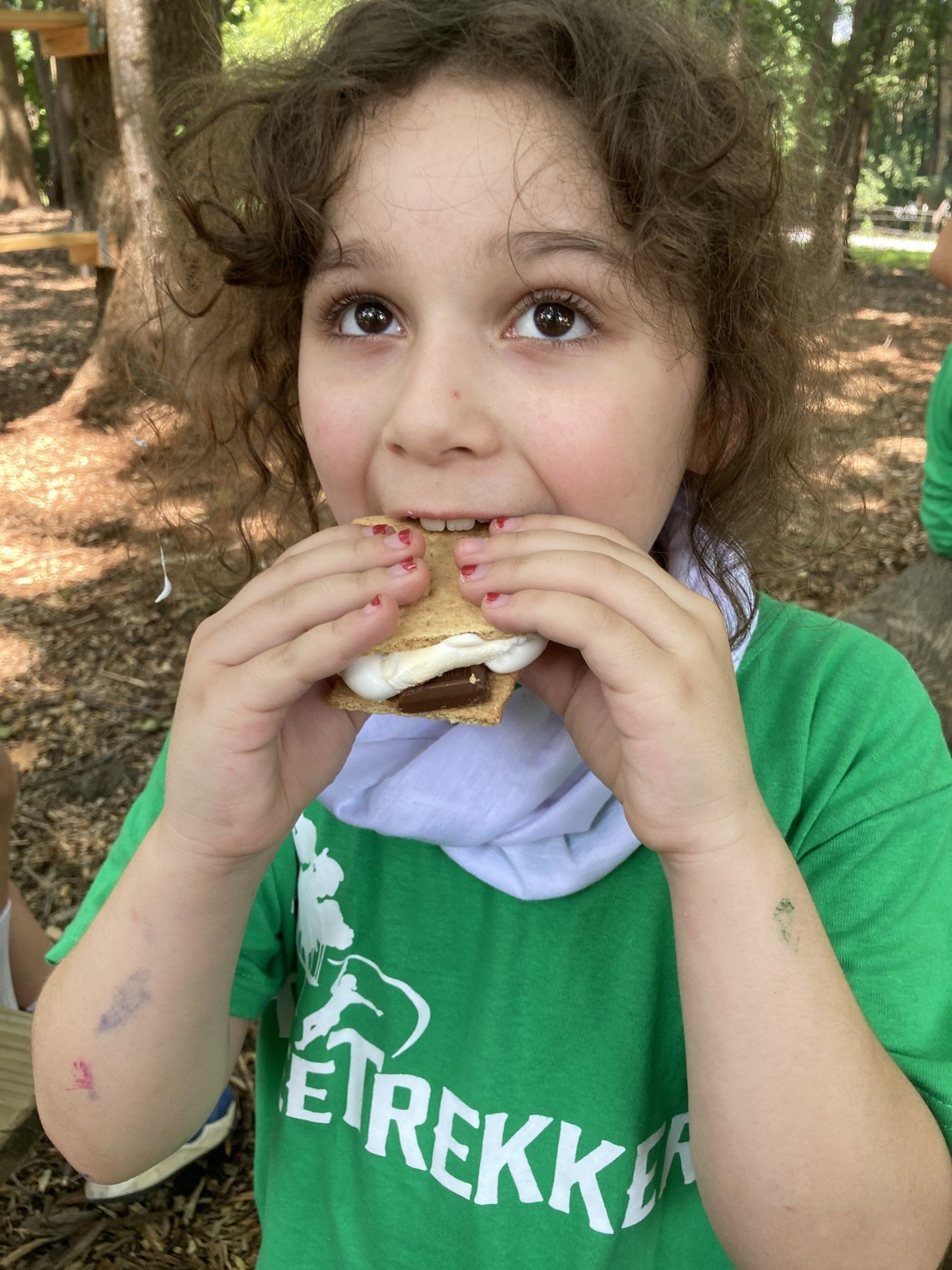 smores at summer camp