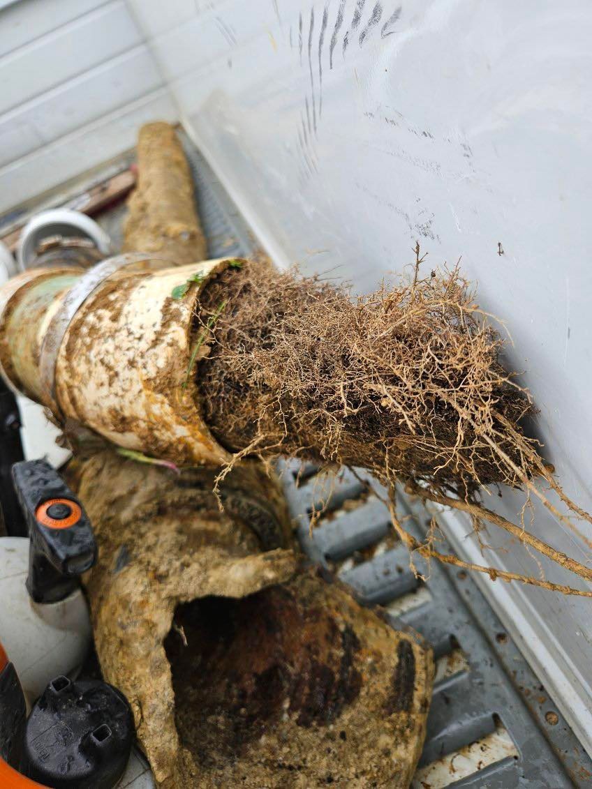 Sewer line clog - roots in line - John Kline Septic