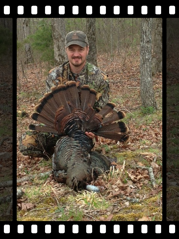 Tennessee Turkey Hunting Guide, Tennessee Turkey hunting Outfitter