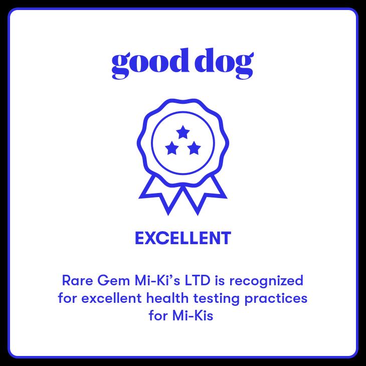 Rare Gem Mi-Ki's LTD Excellent Breeder Good Dog