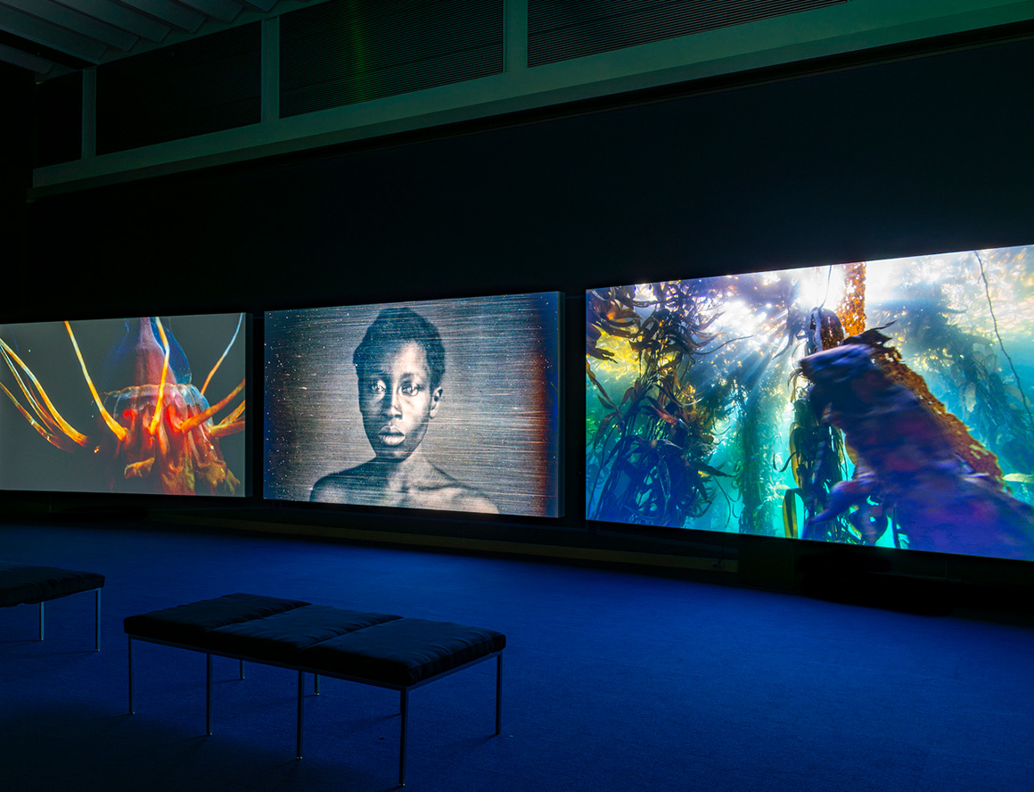 'Deep Waters: Four Artists and the Sea' featuring John Akomfrah, MFA Boston, Boston, MA, USA