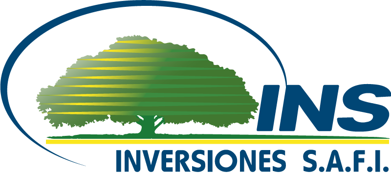 INS INVERSIONES SAFI S.A.