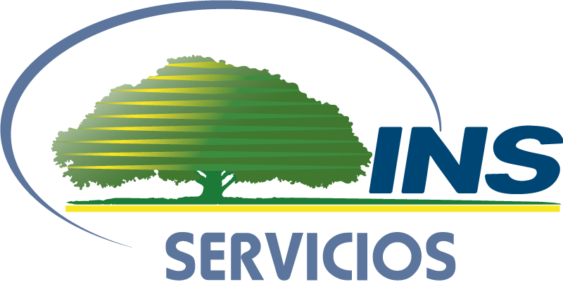 INS Servicios S.A