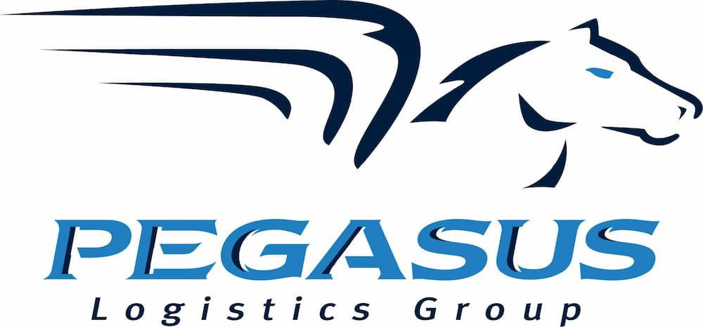 PLG Logistics Group Costa Rica SRL.