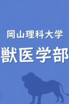 加計学園獣医学部の「四国枠」合格者がたった1名！ 安倍首相は「四国の獣医師不足解消のため」と言い張っていたのに