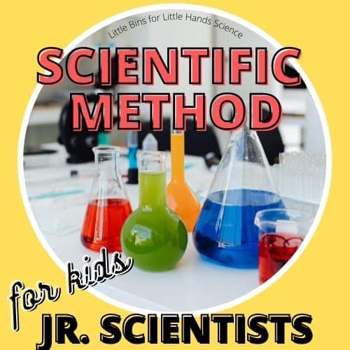 Scientific Method For Kids With Examples